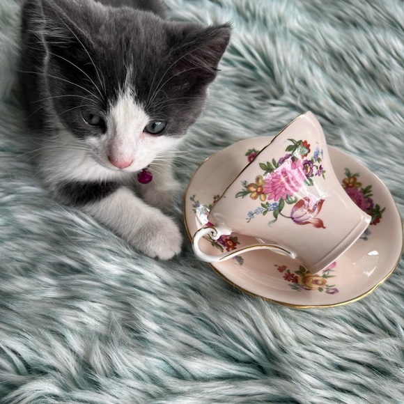 Vintage Ainsley Tea Cup and Saucer. - Picture 8 of 11